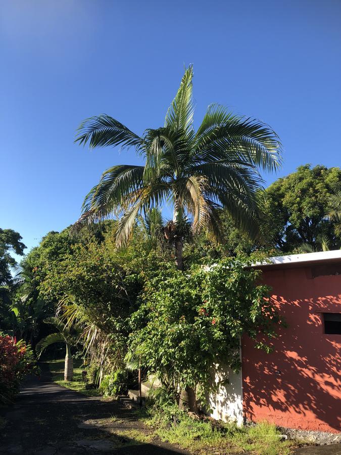 Bed and Breakfast Matilona Sainte-Rose Exterior foto