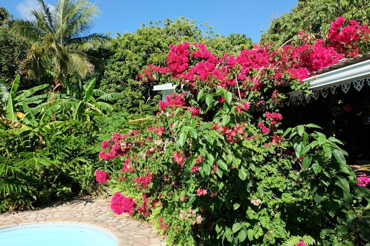 Bed and Breakfast Matilona Sainte-Rose Exterior foto